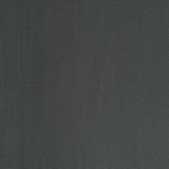 Robert Allen Contract Blank Canvas Graphite 253312 Indoor Upholstery Fabric