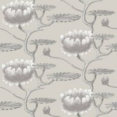 Cole and Son Summer Lily Taupe / White 95-4025 Contemporary Restyled Collection Wall Covering