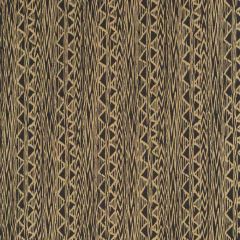 Robert Allen Contract Carved Glyphs Onyx 253580 Indoor Upholstery Fabric