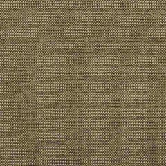 Kravet Contract Burr Pecan 35745-816 Performance Kravetarmor Collection Indoor Upholstery Fabric