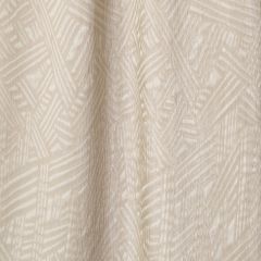 Robert Allen Contract Ebb And Flow Abalone 254088 Drapery Fabric