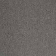 Robert Allen Contract Fiber Grid Onyx 254550 Indoor Upholstery Fabric