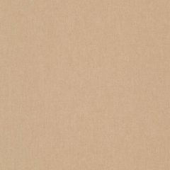 Beacon Hill Bogart Chevron Bisque 254641 Multipurpose Fabric