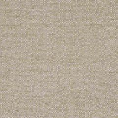 Robert Allen Alvaro Luxe Bk Brindle Home Upholstery Collection Indoor Upholstery Fabric