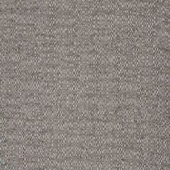 Robert Allen Alvaro Luxe Bk Graphite 254828 By Dwellstudio Indoor Upholstery Fabric
