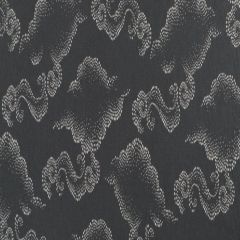 Robert Allen Cloudburst Graphite 255336 By Dwellstudio Indoor Upholstery Fabric