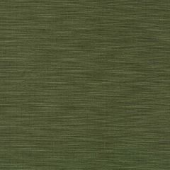 Robert Allen Tekoa Moss Color Library Collection Indoor Upholstery Fabric