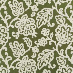 Robert Allen Happy Beauty Moss Color Library Collection Indoor Upholstery Fabric