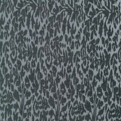 Robert Allen Frangia Bk Graphite 255876 By Dwellstudio Indoor Upholstery Fabric