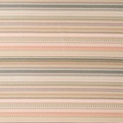 Robert Allen Alpenglow Blush 256301 Enchanting Color Collection Indoor Upholstery Fabric