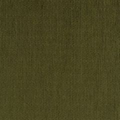 Robert Allen Jerry Point Moss 256449 Enchanting Color Collection Indoor Upholstery Fabric