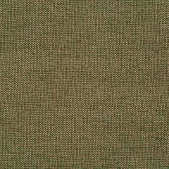 Robert Allen Gem Chenille Moss Color Library Collection Indoor Upholstery Fabric