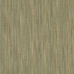 Robert Allen Tinker Weave Moss Color Library Collection Indoor Upholstery Fabric