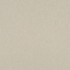 Robert Allen Linen Endure Driftwood Essentials Collection Indoor Upholstery Fabric