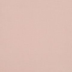 Robert Allen Durable Linen Blush Essentials Collection Indoor Upholstery Fabric