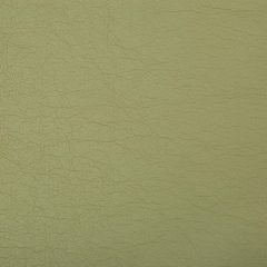 Kravet Contract Optima Green Tea 130 Indoor Upholstery Fabric