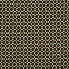 Robert Allen Thamani Onyx Color Library Collection Indoor Upholstery Fabric