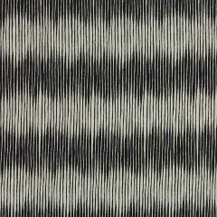 Robert Allen Acheche Onyx Color Library Collection Indoor Upholstery Fabric
