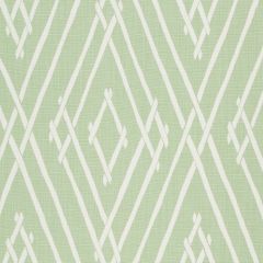 Robert Allen Chez Bamboo Cucumber 259891 Madcap Cottage Collection Indoor Upholstery Fabric