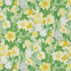 Robert Allen Rousham Romp Cucumber Home Multi Purpose Collection Indoor Upholstery Fabric