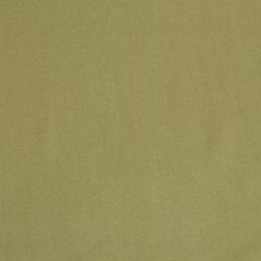 Robert Allen Contract Ode Celery Indoor Upholstery Fabric