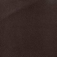 Kravet Design Brown Gillian 66 Indoor Upholstery Fabric