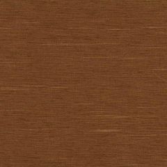 Robert Allen Plain Elegance Tan II 215391 Natural Textures Collection Multipurpose Fabric