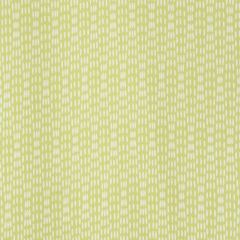Robert Allen Strummed Lemongrass 244557 Color Library Collection Multipurpose Fabric