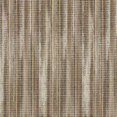 Robert Allen Contract Cyber Code Flax 260397 Contract Color Library Collection Indoor Upholstery Fabric