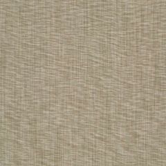 Robert Allen Tinto Lino Driftwood 260527 Multipurpose Fabric