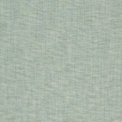 Robert Allen Tinto Lino Patina 260531 Multipurpose Fabric