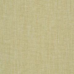 Robert Allen Tinto Lino Spring Grass 260534 Multipurpose Fabric