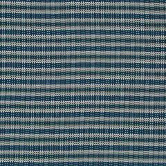 Robert Allen Zanga RR Bk Indigo Home Upholstery Collection Indoor Upholstery Fabric