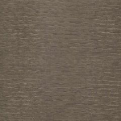 Robert Allen Contract Fleet Taupe 261086 Drapery Fabric