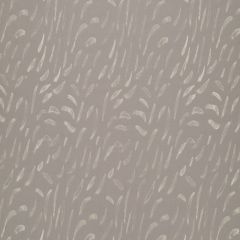 Robert Allen Contract Comet Trail Taupe 261092 Drapery Fabric