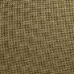 Robert Allen Contract Hinge Bronze Indoor Upholstery Fabric
