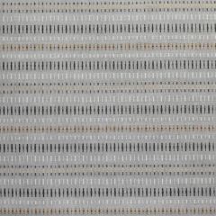 Silver State Sunbrella Cityscape Gravel Metropolis Collection Upholstery Fabric