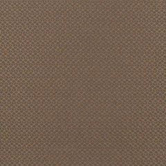 Robert Allen Contract Trellium Copper Indoor Upholstery Fabric