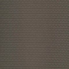 Robert Allen Contract Trellium Slate 261818 Indoor Upholstery Fabric