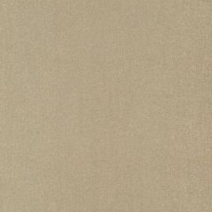 Robert Allen Gleam Dream Brass 262219 Gilded Color Collection Indoor Upholstery Fabric