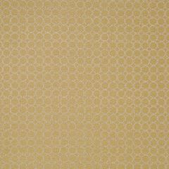 Robert Allen Thamani Brass Color Library Collection Indoor Upholstery Fabric