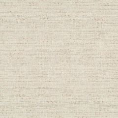 Robert Allen Simply Slubbed Tea Color Library Collection Indoor Upholstery Fabric