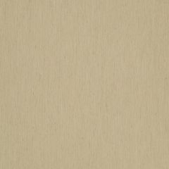 Robert Allen Zelda Stripe Brass 262460 Gilded Color Collection Indoor Upholstery Fabric