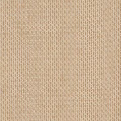 Robert Allen Lofty Weave Tea 262591 Gilded Color Collection Indoor Upholstery Fabric