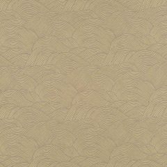 Robert Allen Daywork Brass Color Library Collection Indoor Upholstery Fabric