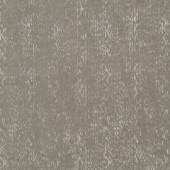 Robert Allen Valera Luxe Bk Brindle 262724 By Dwellstudio Indoor Upholstery Fabric