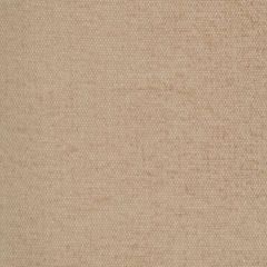 Robert Allen Gem Chenille Tea 262820 Gilded Color Collection Indoor Upholstery Fabric