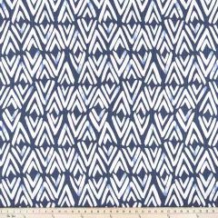 Premier Prints Fearless Regal Navy / Slub Canvaas Friends and Freedom Collection Multipurpose Fabric