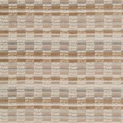 Robert Allen Abacus Lane Tea 262888 Gilded Color Collection Indoor Upholstery Fabric