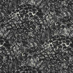 Robert Allen Wimbu Soft Black Home Multi Purpose Collection Indoor Upholstery Fabric